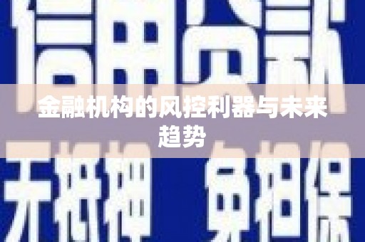 黑水金融机构的风控利器与未来趋势