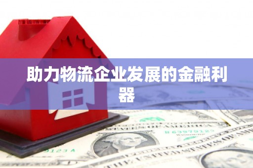 黑水助力物流企业发展的金融利器