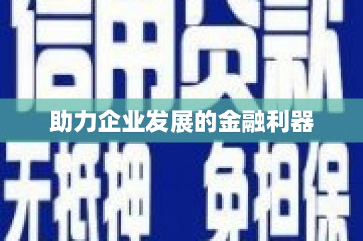 黑水助力企业发展的金融利器