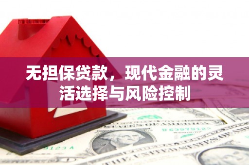 黑水无担保贷款，现代金融的灵活选择与风险控制