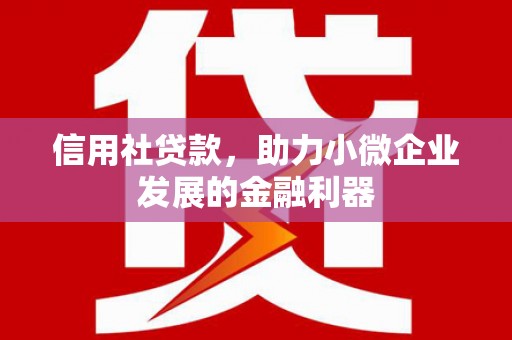黑水信用社贷款，助力小微企业发展的金融利器