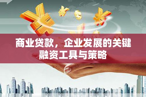 黑水商业贷款，企业发展的关键融资工具与策略