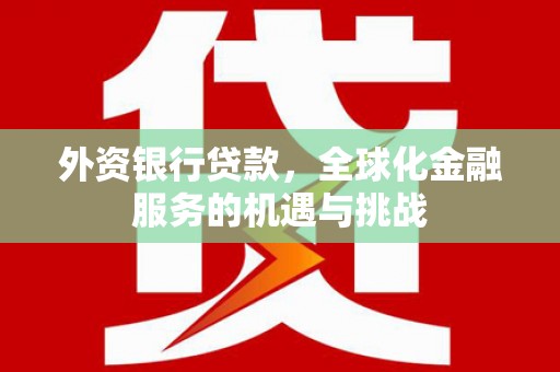 黑水外资银行贷款，全球化金融服务的机遇与挑战