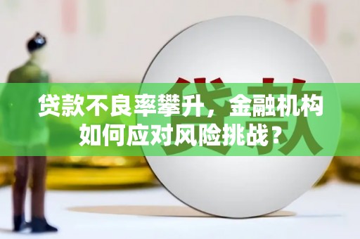 黑水贷款不良率攀升，金融机构如何应对风险挑战？
