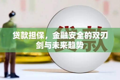 黑水贷款担保，金融安全的双刃剑与未来趋势