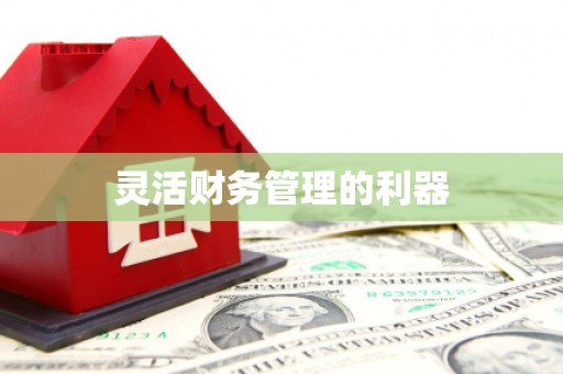 黑水灵活财务管理的利器