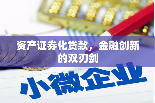 黑水资产证券化贷款，金融创新的双刃剑