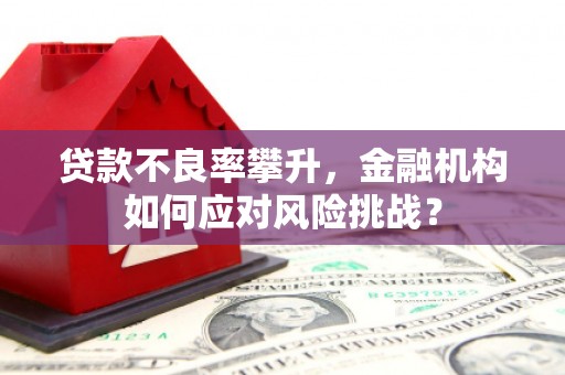 黑水贷款不良率攀升，金融机构如何应对风险挑战？