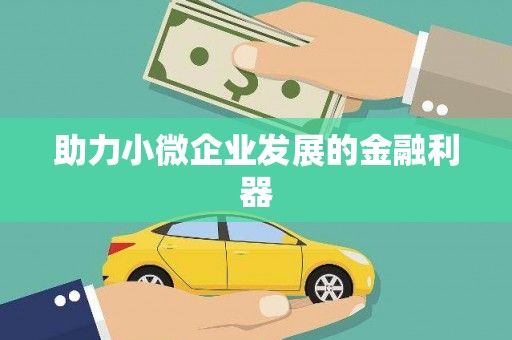 黑水助力小微企业发展的金融利器