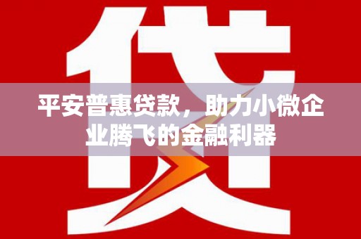 黑水平安普惠贷款，助力小微企业腾飞的金融利器