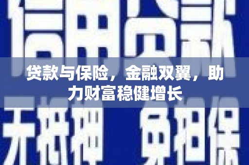黑水贷款与保险，金融双翼，助力财富稳健增长