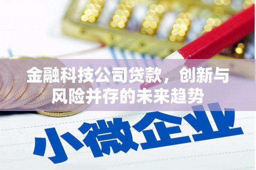 黑水金融科技公司贷款，创新与风险并存的未来趋势