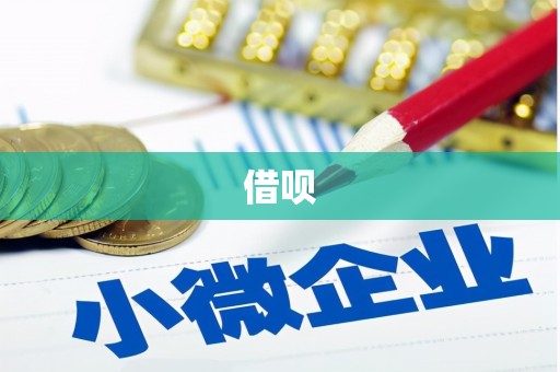 黑水借呗