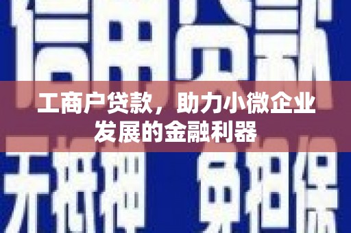 黑水工商户贷款，助力小微企业发展的金融利器