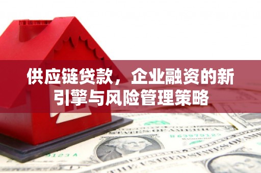 黑水供应链贷款，企业融资的新引擎与风险管理策略