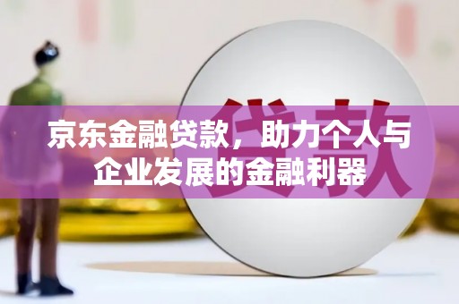 黑水京东金融贷款，助力个人与企业发展的金融利器