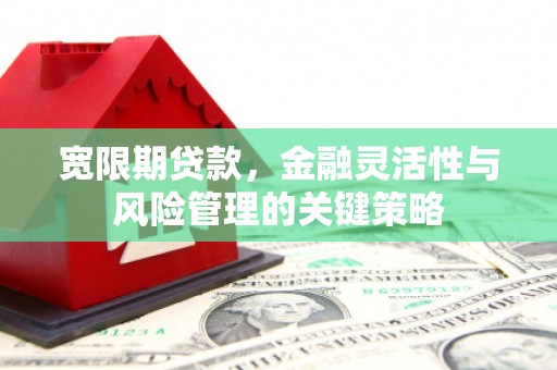 黑水宽限期贷款，金融灵活性与风险管理的关键策略