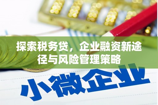 黑水探索税务贷，企业融资新途径与风险管理策略
