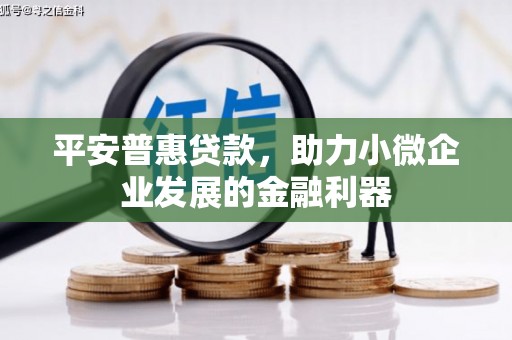 黑水平安普惠贷款，助力小微企业发展的金融利器