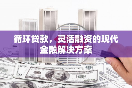 黑水循环贷款，灵活融资的现代金融解决方案