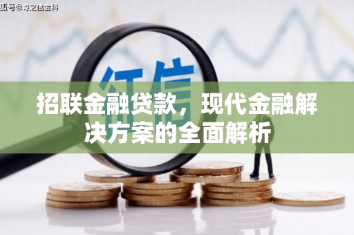 黑水招联金融贷款，现代金融解决方案的全面解析