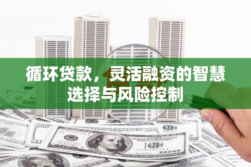 黑水循环贷款，灵活融资的智慧选择与风险控制