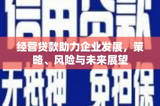 黑水经营贷款助力企业发展，策略、风险与未来展望