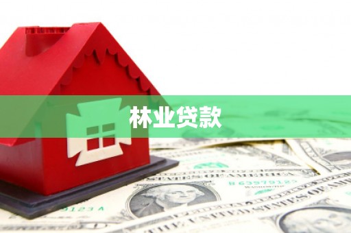 黑水林业贷款