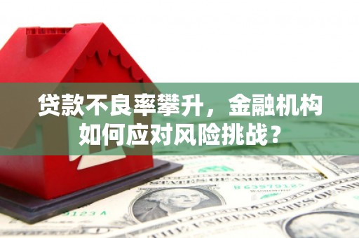 黑水贷款不良率攀升，金融机构如何应对风险挑战？