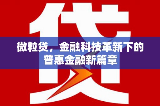 黑水微粒贷，金融科技革新下的普惠金融新篇章