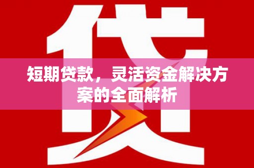 黑水短期贷款，灵活资金解决方案的全面解析