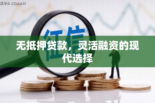 黑水无抵押贷款，灵活融资的现代选择