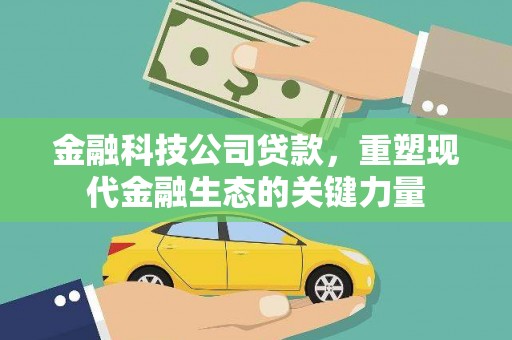 黑水金融科技公司贷款，重塑现代金融生态的关键力量