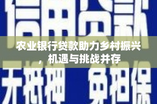 黑水农业银行贷款助力乡村振兴，机遇与挑战并存