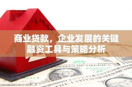 黑水商业贷款，企业发展的关键融资工具与策略分析