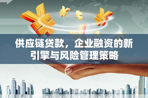 黑水供应链贷款，企业融资的新引擎与风险管理策略