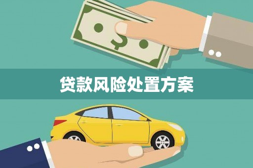 黑水贷款风险处置方案