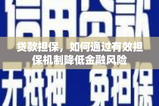黑水贷款担保，如何通过有效担保机制降低金融风险