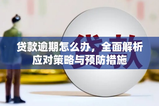 黑水贷款逾期怎么办，全面解析应对策略与预防措施