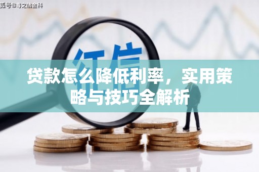 黑水贷款怎么降低利率，实用策略与技巧全解析