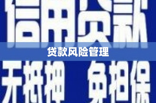 黑水贷款风险管理