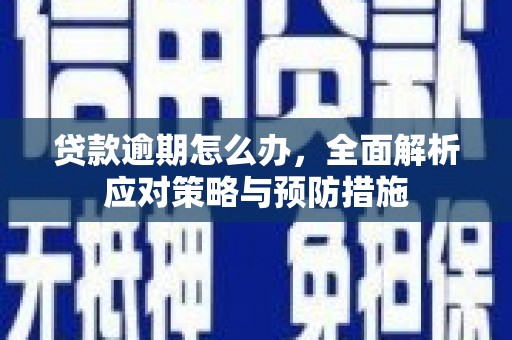 黑水贷款逾期怎么办，全面解析应对策略与预防措施