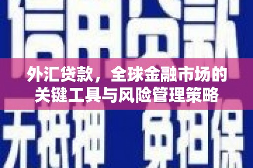 黑水外汇贷款，全球金融市场的关键工具与风险管理策略