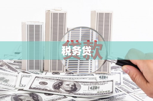 黑水税务贷