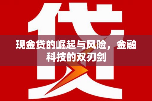 黑水现金贷的崛起与风险，金融科技的双刃剑