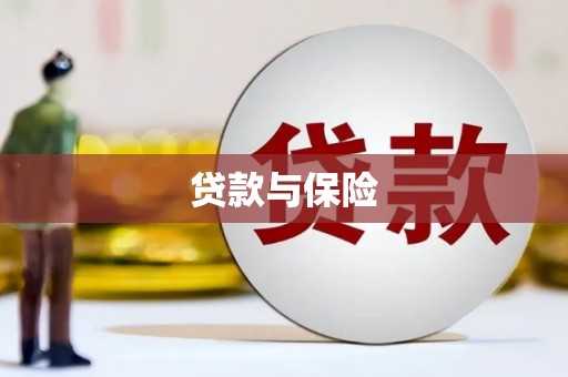 黑水贷款与保险