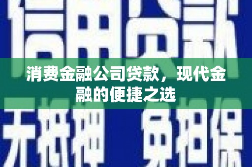黑水消费金融公司贷款，现代金融的便捷之选