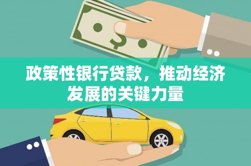 黑水政策性银行贷款，推动经济发展的关键力量