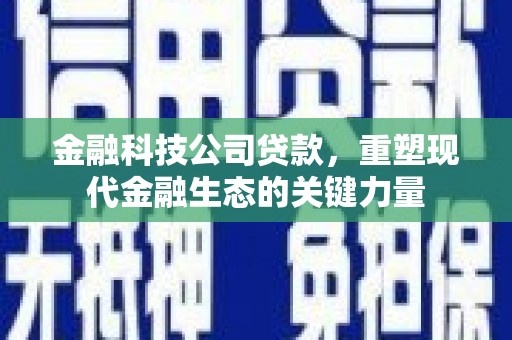 黑水金融科技公司贷款，重塑现代金融生态的关键力量