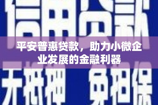 黑水平安普惠贷款，助力小微企业发展的金融利器